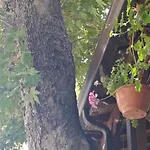 μηναΐδης Ξενοδοχείο 2*