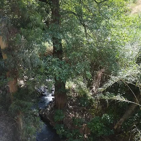 Hotel Minaides Kakopetria