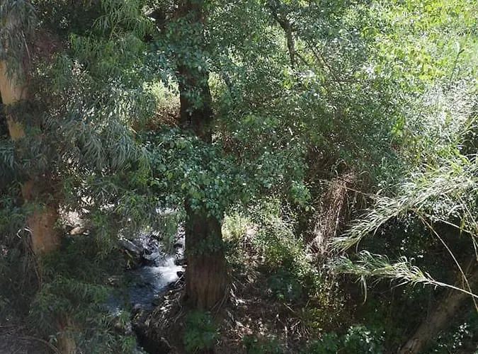 מלון Minaides קאקופטריה