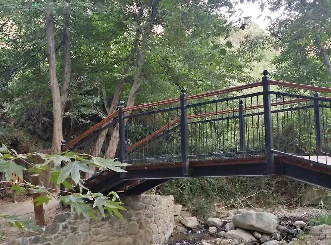 Minaides 2* カコペトリア