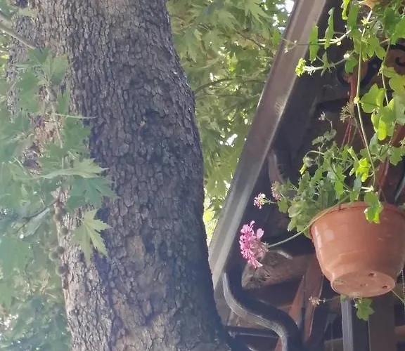 Minaides מלון 2*